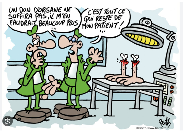 La ministre de la Santé supervise le lancement des activités de la journée nationale du don d’organes La ministre de la Santé supervise le lancement des activités de la journée nationale du don d’organes