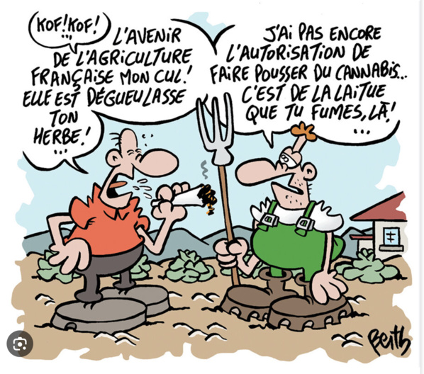 Réunion du comité interministériel chargé du suivi de la lutte contre la drogue et les substances psychotropes Réunion du comité interministériel chargé du suivi de la lutte contre la drogue et les substances psychotropes