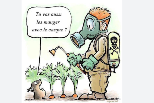 Mauritanie : baisse de la taxe sur les engrais et les semences Mauritanie : baisse de la taxe sur les engrais et les semences