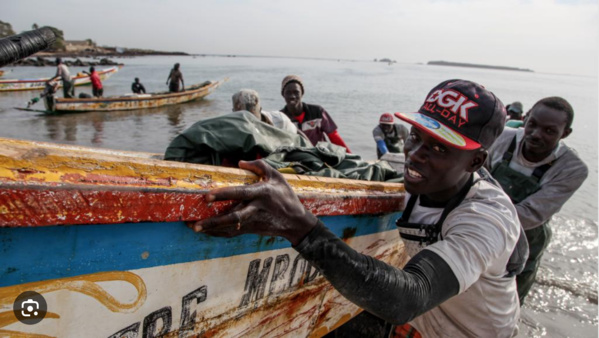 La Mauritanie va livrer annuellement 50.000 tonnes de poisson au Sénégal en vertu d’un accord signé entre les 2 pays