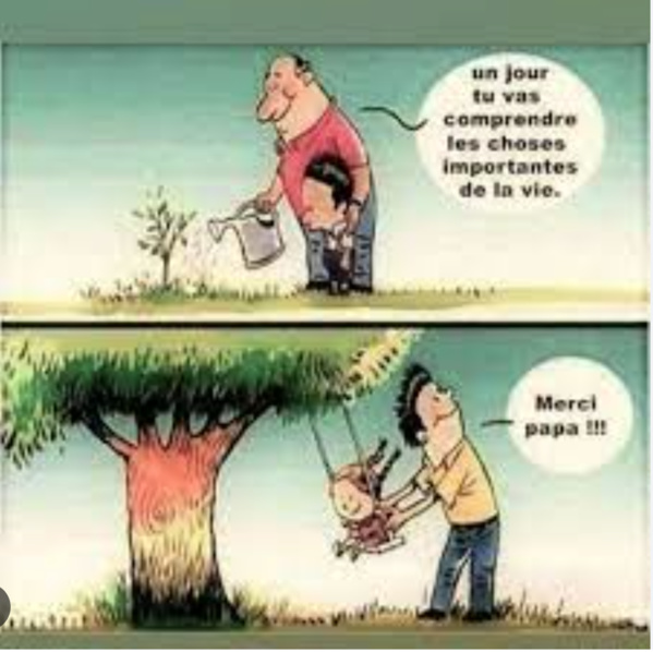 Pour lutter contre la désertification, la Mauritanie envisage de reboiser une superficie de 20.000 hectares Pour lutter contre la désertification, la Mauritanie envisage de reboiser une superficie de 20.000 hectares