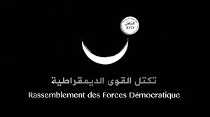 Déclaration du RFD sur la situation au Niger Déclaration du RFD sur la situation au Niger