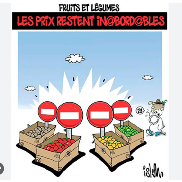 Le ministre de l’Agriculture préside une réunion des acteurs de la filière maraîchère Le ministre de l’Agriculture préside une réunion des acteurs de la filière maraîchère