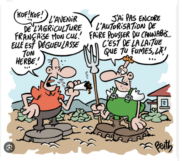 Nouadhibou : Incinération de quantités de stupéfiants et de substances psychotropes Nouadhibou : Incinération de quantités de stupéfiants et de substances psychotropes