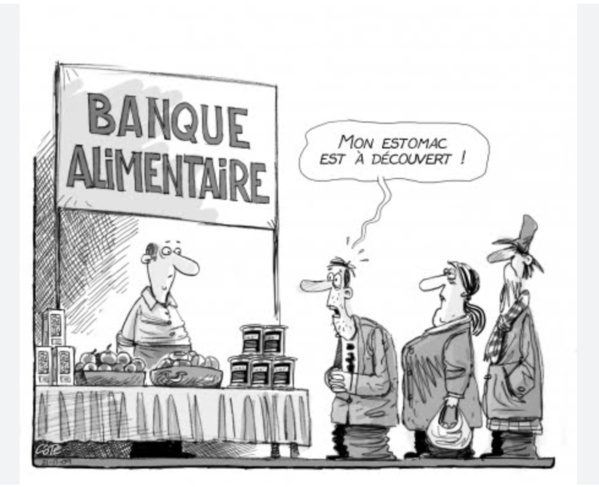 La Commissaire à la sécurité alimentaire se rend en Égypte La Commissaire à la sécurité alimentaire se rend en Égypte