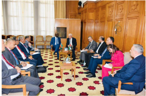 Le ministre des Affaires étrangères rencontre son homologue palestinien au Caire Le ministre des Affaires étrangères rencontre son homologue palestinien au Caire