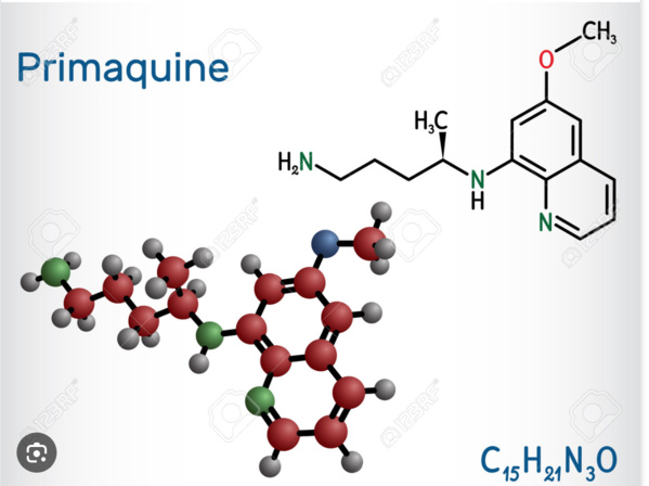 Le ministère de la Santé s’explique au sujet de l’usage de la ‘’Primaquine’’ Le ministère de la Santé s’explique au sujet de l’usage de la ‘’Primaquine’’