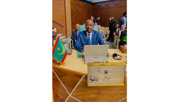 Ministre des Affaires étrangères: La situation internationale nécessite de promouvoir le dialogue politique arabo-japonais Ministre des Affaires étrangères: La situation internationale nécessite de promouvoir le dialogue politique arabo-japonais