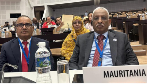 La Mauritanie participe au sommet G77-Chine La Mauritanie participe au sommet G77-Chine