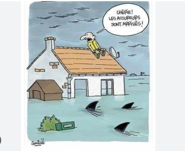 Après la chaleur, la pluie et ses conséquences