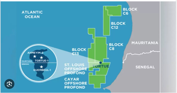 Sénégal/Mauritanie : Allseas décroche un marché d’ingénierie sur le projet pétrogazier Greater Tortue Ahmeyim (GTA) Sénégal/Mauritanie : Allseas décroche un marché d’ingénierie sur le projet pétrogazier Greater Tortue Ahmeyim (GTA)
