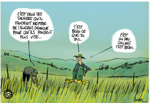 Lemrabot Tanji (Azima TP), MSA-TP et la Smagec réhabilitent des périmètres irrigués pour 800 millions ouguiya Lemrabot Tanji (Azima TP), MSA-TP et la Smagec réhabilitent des périmètres irrigués pour 800 millions ouguiya
