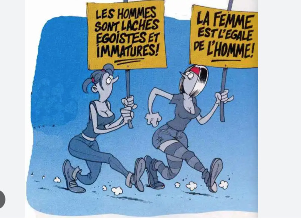 Commissaire aux droits de l’homme : La Mauritanie a réalisé un bond qualitatif dans le domaine des droits de l’homme