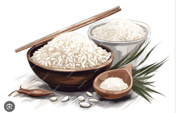 Fourniture de riz : Le CSA passe deal avec 4 entités locales (3,589 milliards mro)