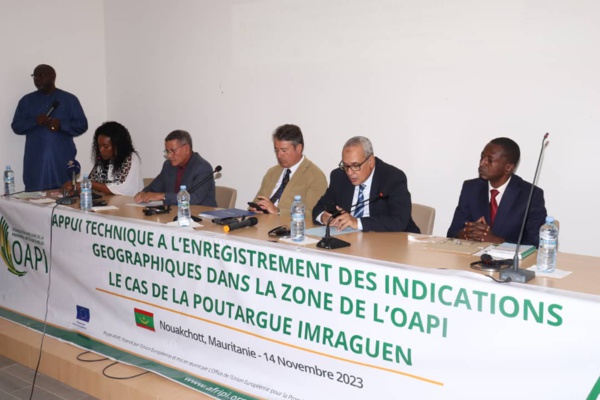 AfrIPI : communiqué de presse
