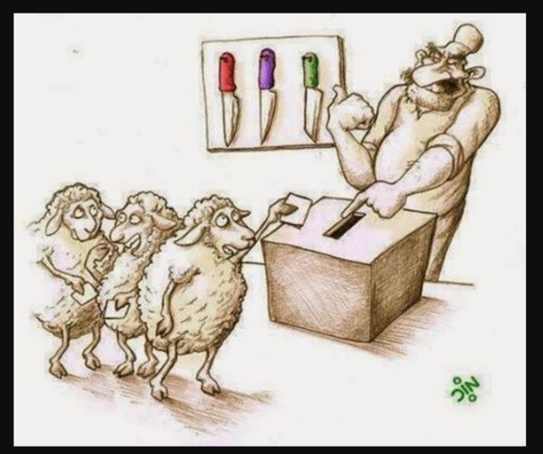 Un nouveau membre du Comité directeur de la CENI prête serment Un nouveau membre du Comité directeur de la CENI prête serment