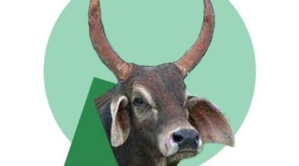 CVE: Comité de Suivi. Décision de Nomination CVE: Comité de Suivi. Décision de Nomination