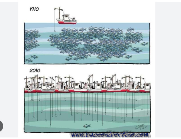 Reprise des activités de pêche : Une longueur d’avance de 10 jours pour les artisans Reprise des activités de pêche : Une longueur d’avance de 10 jours pour les artisans