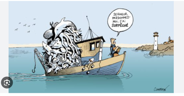 Opportunités de pêche et échange de point de vue entre Nouakchott et l'UE Opportunités de pêche et échange de point de vue entre Nouakchott et l'UE