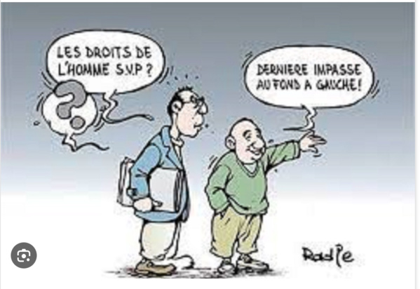 Le Commissaire aux Droits de l’Homme participe à une conférence de haut niveau pour commémorer la déclaration universelle des droits de l’homme Le Commissaire aux Droits de l’Homme participe à une conférence de haut niveau pour commémorer la déclaration universelle des droits de l’homme