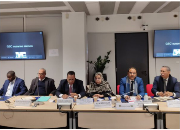 Bruxelles : réunion de haut niveau mauritano-européénne sur la migration illégale et les réfugiés Bruxelles : réunion de haut niveau mauritano-européénne sur la migration illégale et les réfugiés