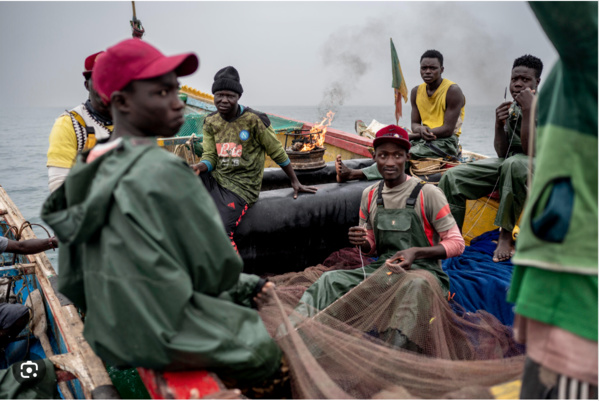 Sénégal-Mauritanie-Pêches / Saint-Louis : remise de 500 licences mauritaniennes aux pêcheurs de Guet Ndar