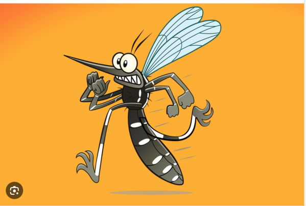 La région de Nouakchott lance une campagne de lutte contre les moustiques La région de Nouakchott lance une campagne de lutte contre les moustiques