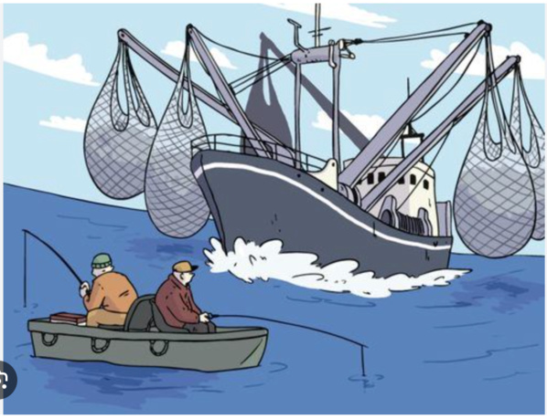 Le ministère des pêches tergiverse dans l’exécution d’instructions du Premier ministère Le ministère des pêches tergiverse dans l’exécution d’instructions du Premier ministère