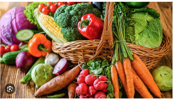 Le gouvernement mauritanien : « on peut ne pas recourir à l’importation de légumes pendant le Ramadan » Le gouvernement mauritanien : « on peut ne pas recourir à l’importation de légumes pendant le Ramadan »