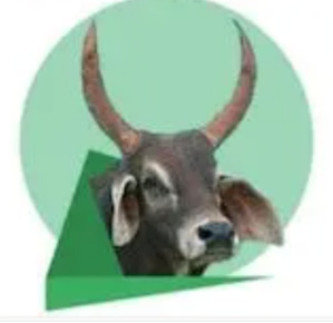 La CVE plaide pour une candidature unique et consensuelle de l’opposition à l’occasion des élections présidentielles du 29 Juin 2024 La CVE plaide pour une candidature unique et consensuelle de l’opposition à l’occasion des élections présidentielles du 29 Juin 2024