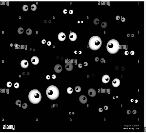 SOMELEC : les charognards du week-end SOMELEC : les charognards du week-end