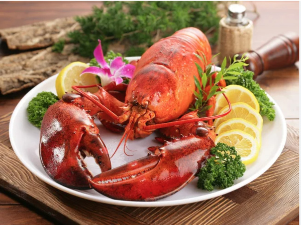 Mauritanie : 20 personnes arrêtées pour pêche illégale au homard Mauritanie : 20 personnes arrêtées pour pêche illégale au homard