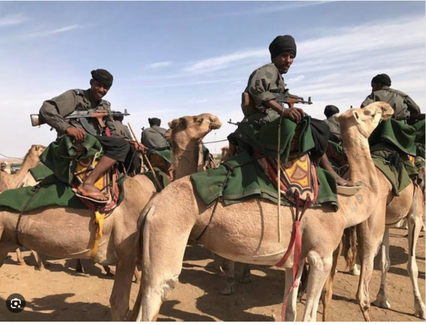 Le porte-parole du gouvernement : la Mauritanie a pris toutes les mesures militaires et sécuritaires pour protéger ses frontières