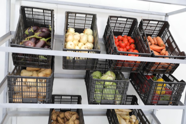 Photos Taazour partout : hier à Nouadhibou aujourd'hui à Sebkha Photos Taazour partout : hier à Nouadhibou aujourd'hui à Sebkha