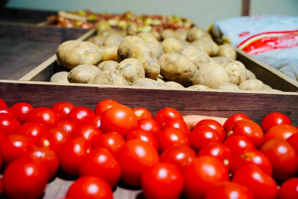 Taazour aujourd'hui à Akjoujt : inauguration des services et conventions avec 3 conseils régionaux Taazour aujourd'hui à Akjoujt : inauguration des services et conventions avec 3 conseils régionaux