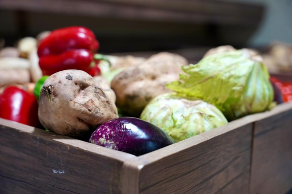 Taazour aujourd'hui à Akjoujt : inauguration des services et conventions avec 3 conseils régionaux Taazour aujourd'hui à Akjoujt : inauguration des services et conventions avec 3 conseils régionaux