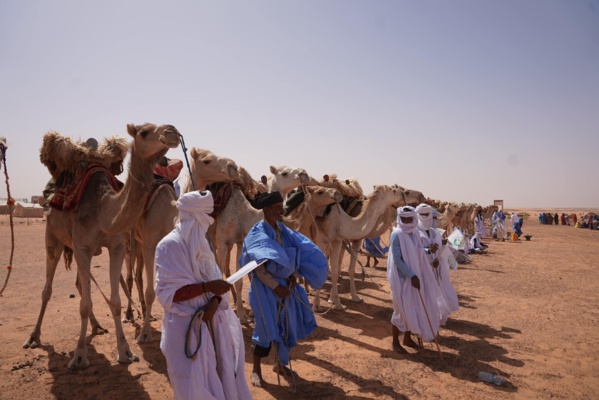 Belles photos en Adrar : tout ce qu'il y a de beau a été sorti pour accueillir Taazour dans le village de Ouraidh 