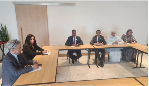 Le Premier ministre reçoit La présidente de GE Vernova Africa Le Premier ministre reçoit La présidente de GE Vernova Africa