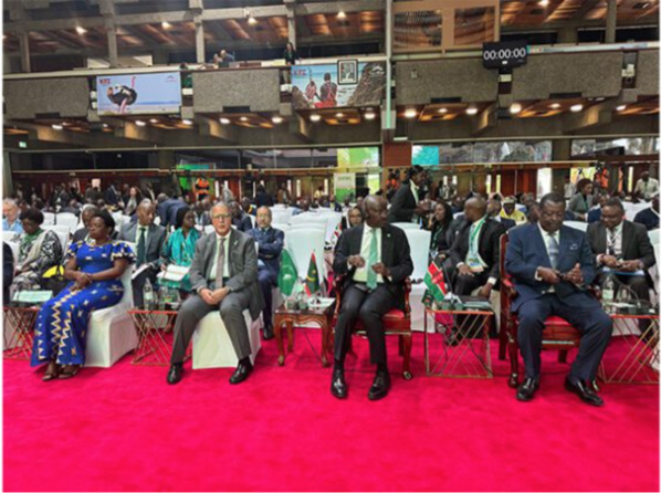 Le ministre des affaires étrangères préside la réunion du Conseil exécutif de l’UA préparant le sommet sur les engrais et la santé des sols Le ministre des affaires étrangères préside la réunion du Conseil exécutif de l’UA préparant le sommet sur les engrais et la santé des sols