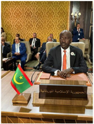 Le ministre des Affaires étrangères participe à la réunion ministérielle préparatoire du Sommet arabe