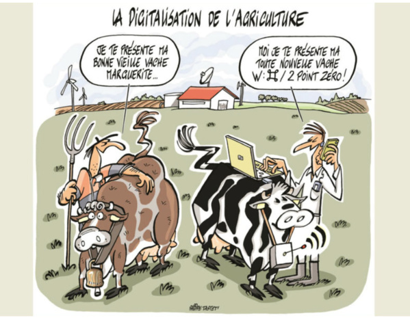 Le ministre de l’agriculture se rend en Algérie