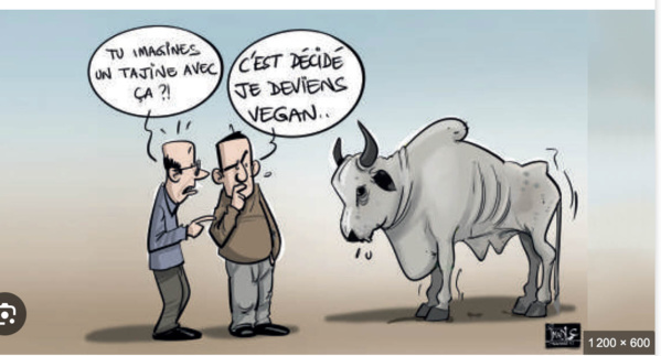 Le ministre de l’élevage : le coût du plan d’urgence a atteint plus 7 milliards d’ouguiyas Le ministre de l’élevage : le coût du plan d’urgence a atteint plus 7 milliards d’ouguiyas
