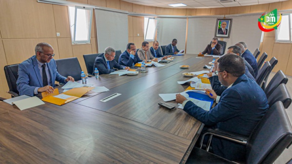 Le Délégué Général préside une réunion du comité d'administration de TAAZOUR Le Délégué Général préside une réunion du comité d'administration de TAAZOUR