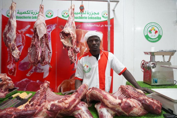 Lexeïba : Le Délégué Général inaugure un nouveau complexe TAAZOUR Lexeïba : Le Délégué Général inaugure un nouveau complexe TAAZOUR