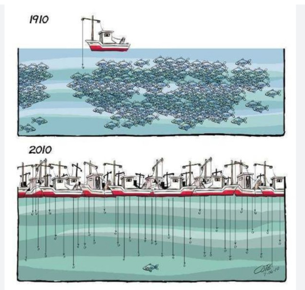 Reprise des activités de pêche : Les artisans prennent le large ! Reprise des activités de pêche : Les artisans prennent le large !
