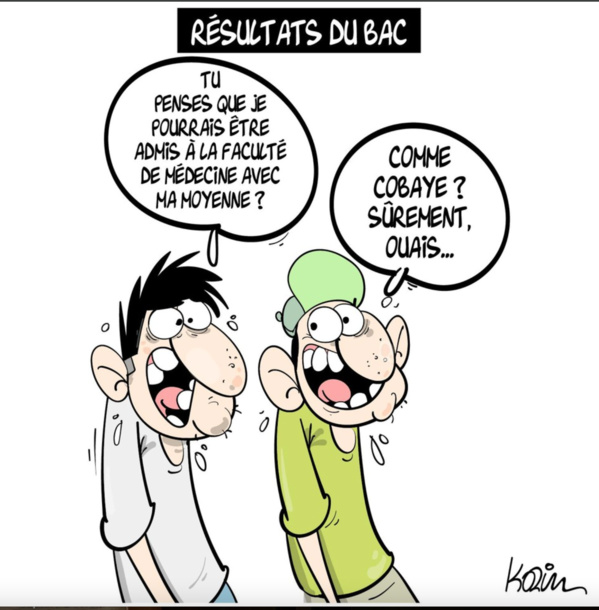 Le Baccalauréat en Mauritanie : Un déséquilibre préjudiciable au développement Le Baccalauréat en Mauritanie : Un déséquilibre préjudiciable au développement