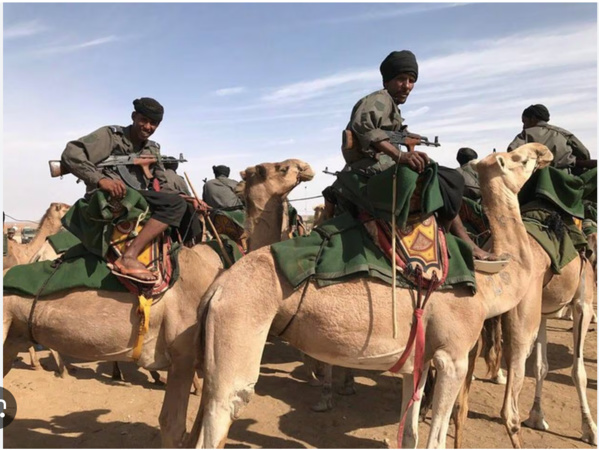 Manœuvres aux armes lourdes de l’armée mauritanienne au nord de Nouakchott Manœuvres aux armes lourdes de l’armée mauritanienne au nord de Nouakchott