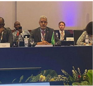 La Mauritanie préside la mission de l’UA à la réunion consacrée à l’adoption des déclarations publiées par le G20 La Mauritanie préside la mission de l’UA à la réunion consacrée à l’adoption des déclarations publiées par le G20