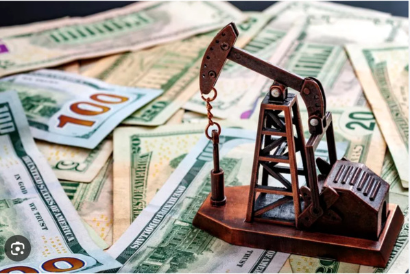 Approbation par le parlement d’un accord mauritano-saoudien dans le domaine de l’investissement Approbation par le parlement d’un accord mauritano-saoudien dans le domaine de l’investissement