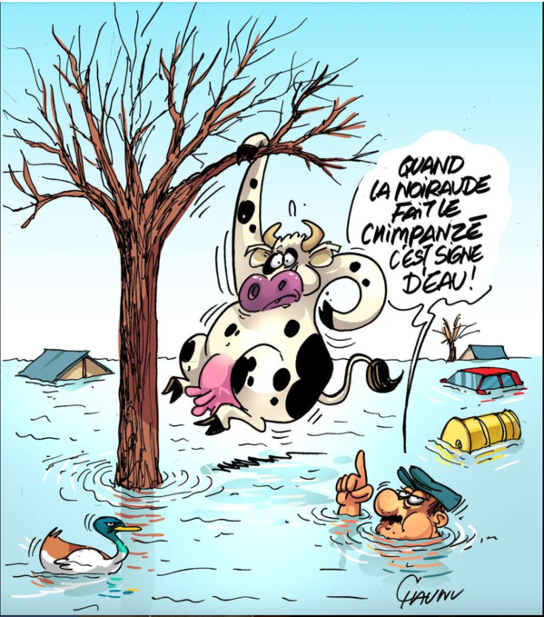 Précipitations sur plusieurs localités et villes du territoire Précipitations sur plusieurs localités et villes du territoire